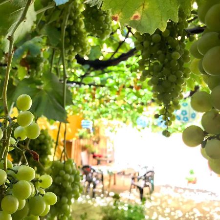 מדריד Apartment Olivar מראה חיצוני תמונה
